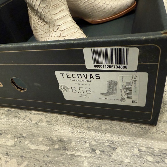 Tecova Savannah Bone Python size 8.5 - Picture 3 of 12